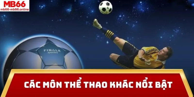 Các môn thể thao khác nổi bật