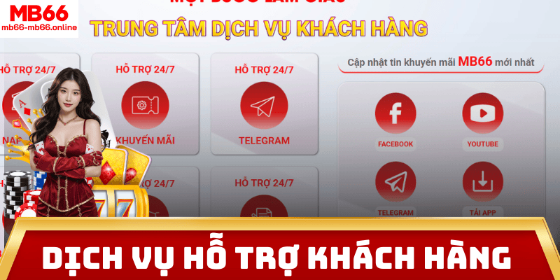 Dịch vụ hỗ trợ khách hàng