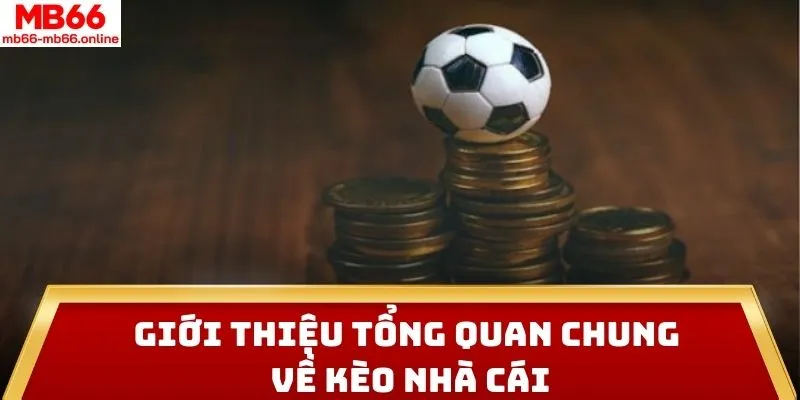 Giới thiệu tổng quan chung về cách soi kèo nhà cái