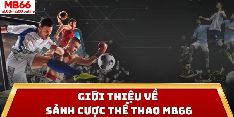 Giới thiệu về sảnh cược thể thao MB66