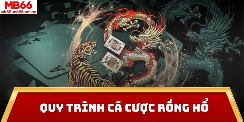 Quy trình cá cược Rồng Hổ